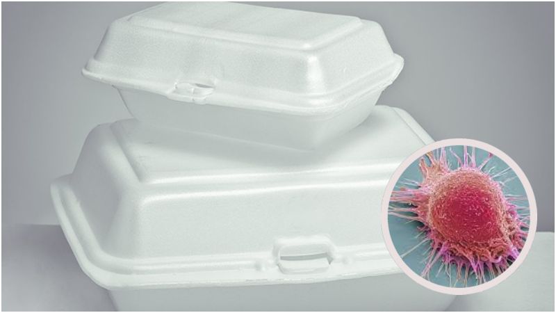 Styrofoam vinculado al cáncer