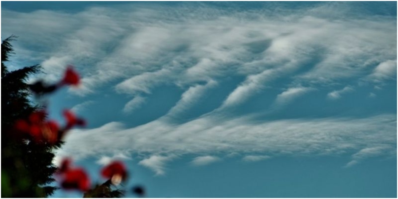 nubes en forma de olas 